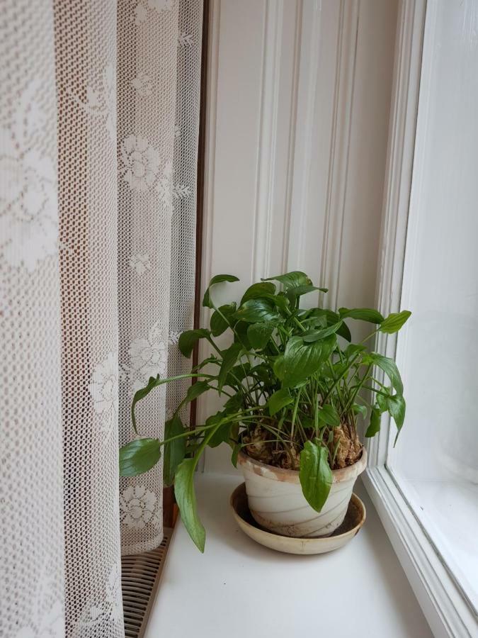 Casa de hóspedes Sakuranbo - Budapeste